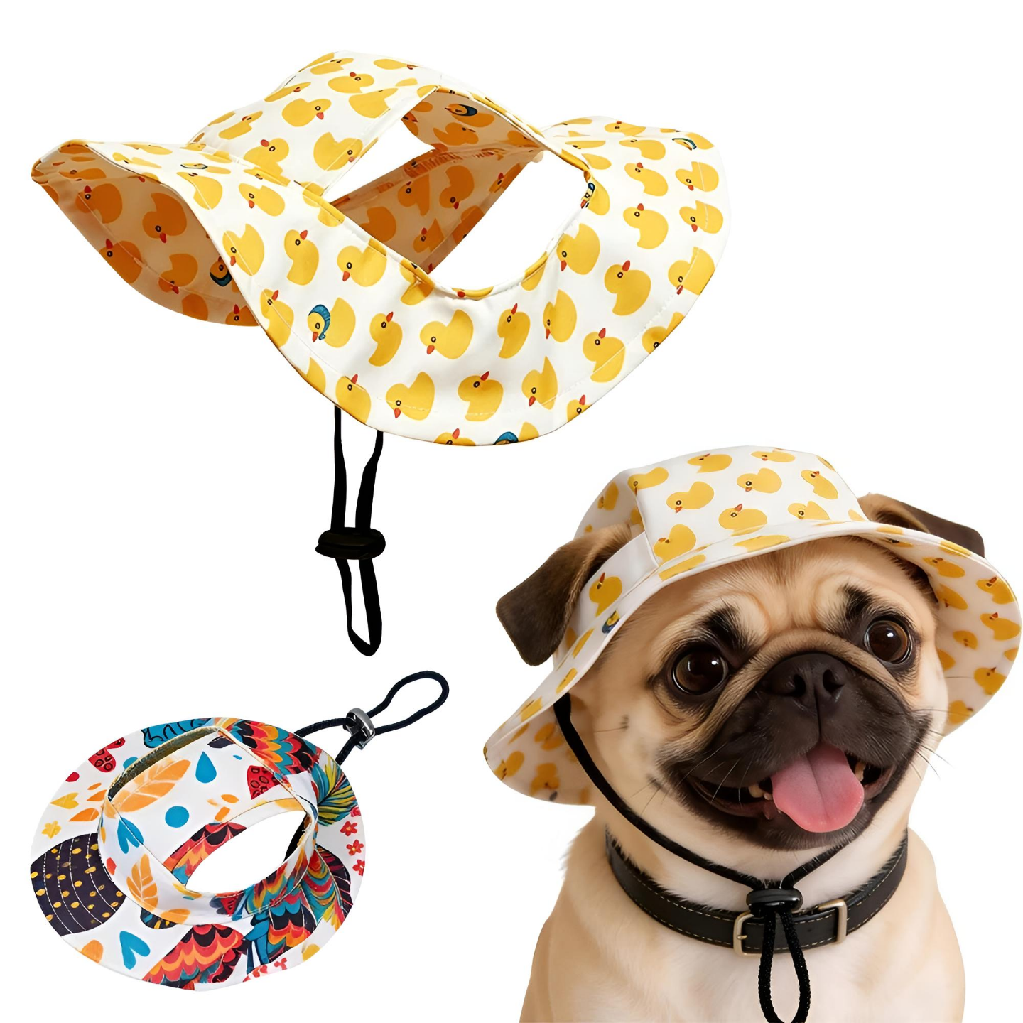 Pet Clothing & Accessories