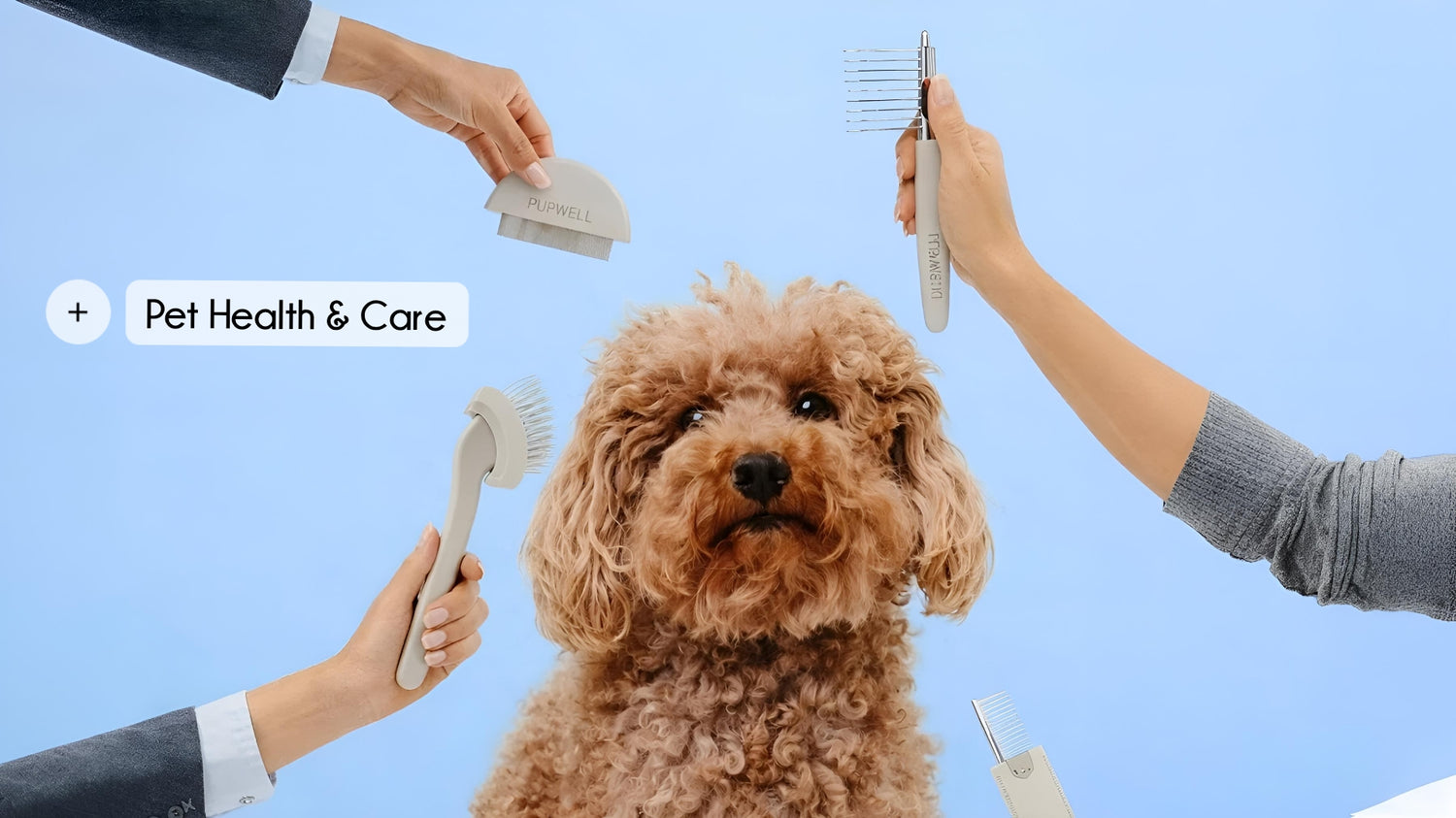 Pet Health & Care