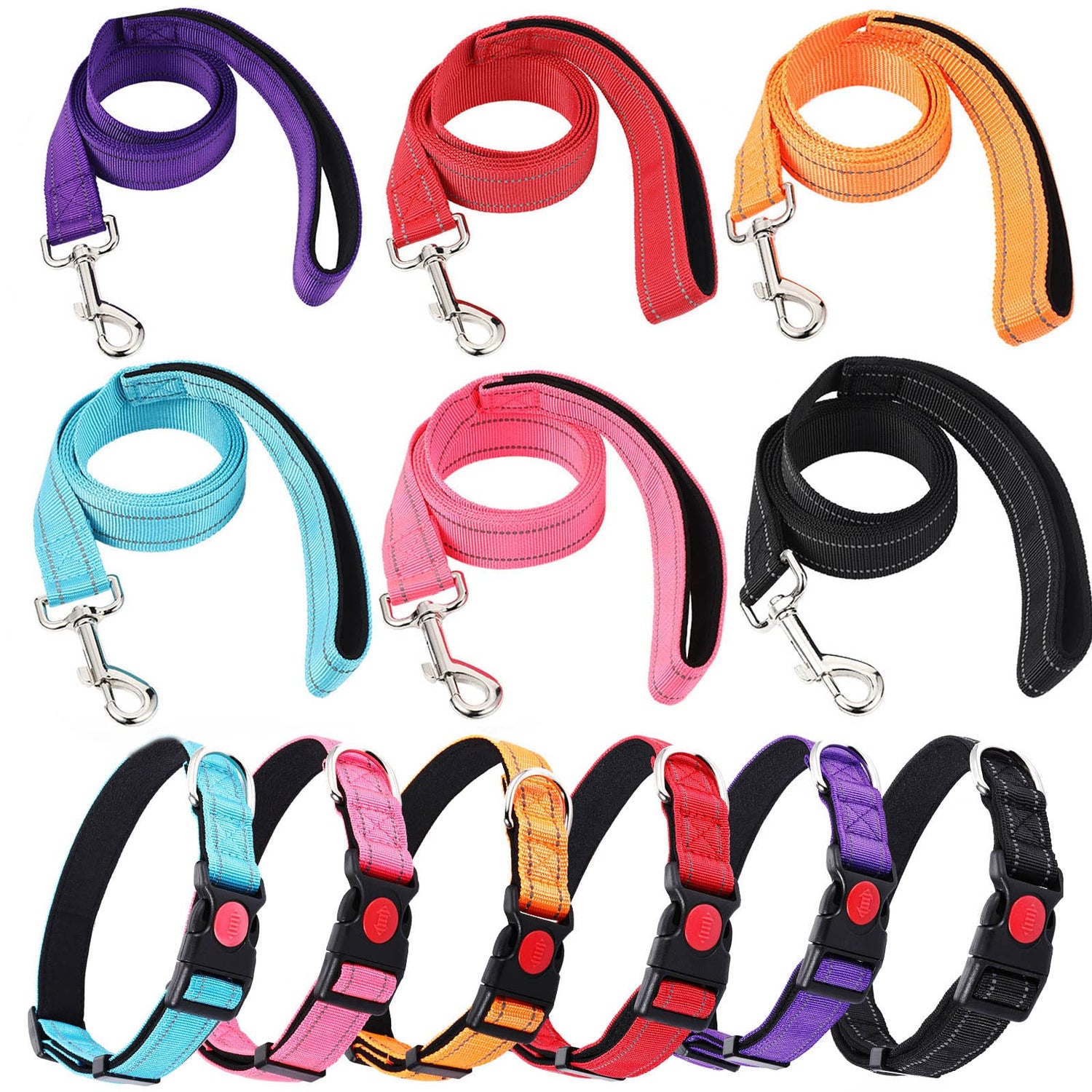 Collars & Leashes