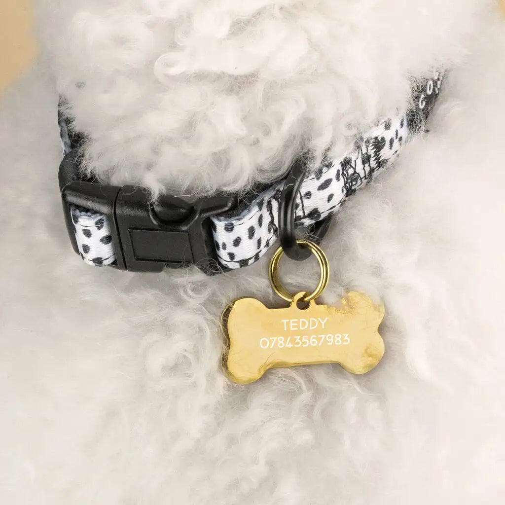 Stainless Steel Dog Id Tag Personalized Engraved Double Sided Pet Name Tag Circle Bone