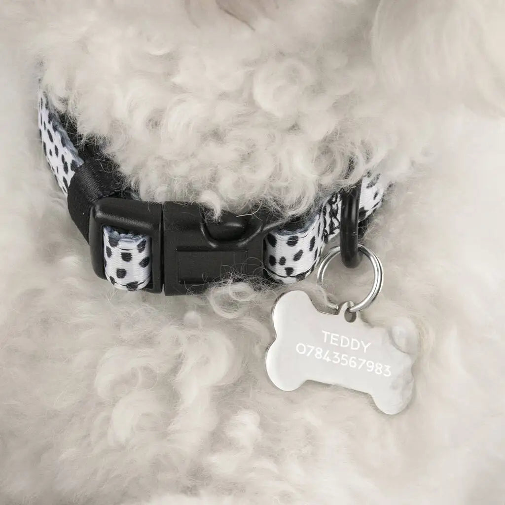Stainless Steel Dog Id Tag Personalized Engraved Double Sided Pet Name Tag Circle Bone