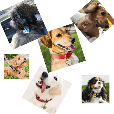Stainless Steel Dog Id Tag Personalized Engraved Double Sided Pet Name Tag Circle Bone