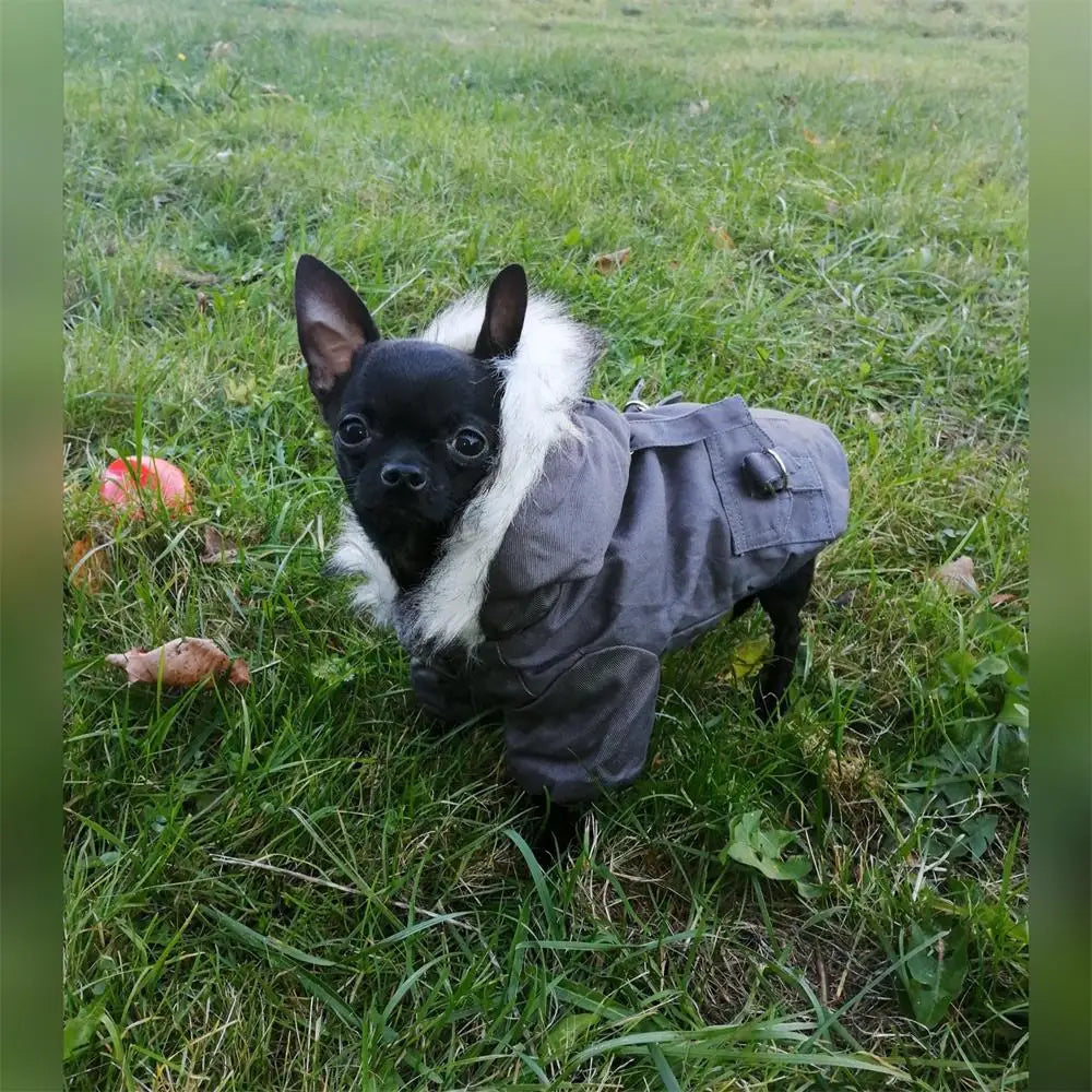 Warm Pets Dog Clothes Cotton Russia Winter Thicken Jacket Coat Costumes Hoodies Clothes for Small Puppy Dogs Clothing XXL Cheap PawPrint Treasures