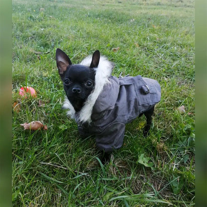 Warm Pets Dog Clothes Cotton Russia Winter Thicken Jacket Coat Costumes Hoodies Clothes for Small Puppy Dogs Clothing XXL Cheap PawPrint Treasures
