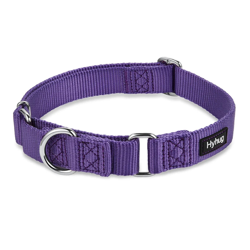 Nylon Dog Training Collar Adjustable Martingale Collars Dog Pulling Walking Collar For Medium Large And Small Dogs HY116 Perro