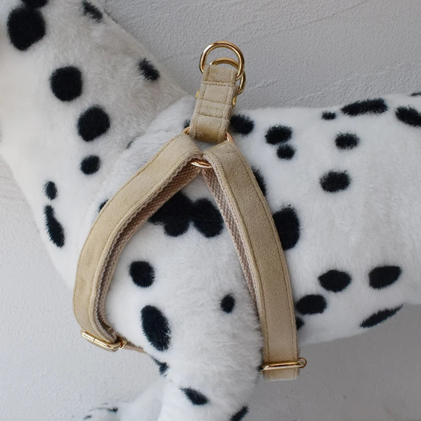 Dog Harness Custom Engraved Straps Printed Pet ID Harness Adjustable Necklace for Small Medium Puppy Teddy Bulldog
