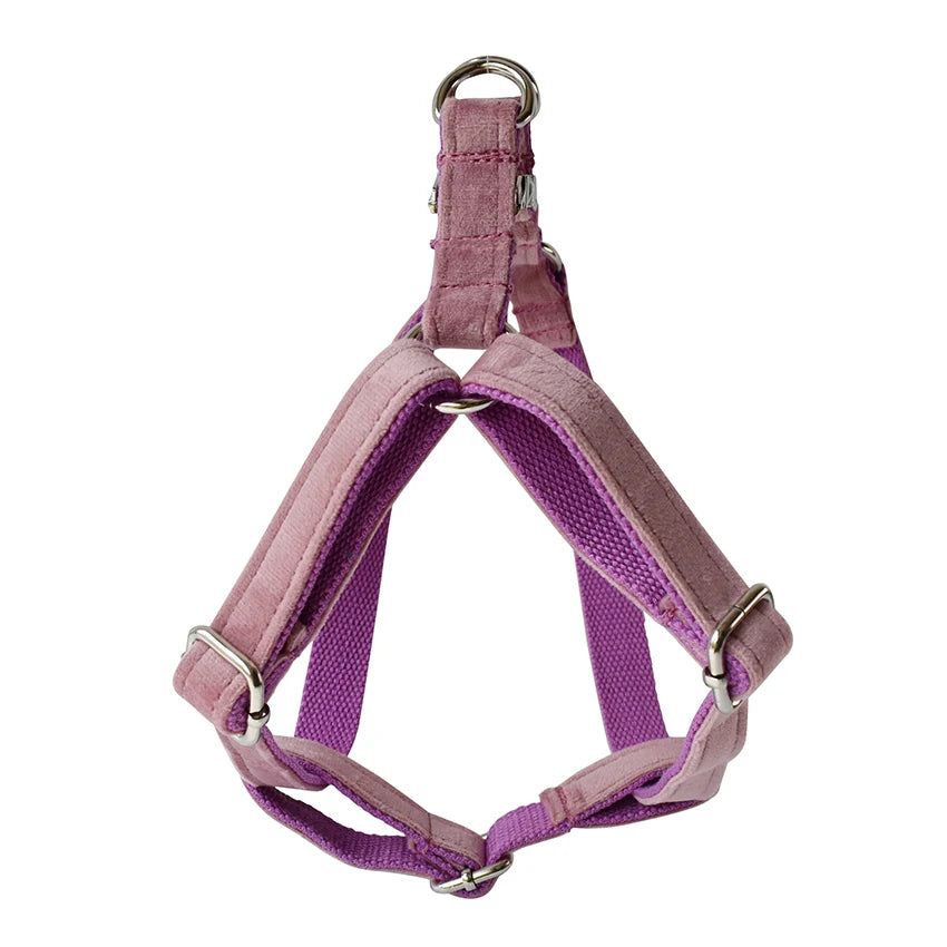 Dog Harness Custom Engraved Straps Printed Pet ID Harness Adjustable Necklace for Small Medium Puppy Teddy Bulldog