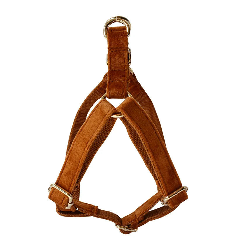 Dog Harness Custom Engraved Straps Printed Pet ID Harness Adjustable Necklace for Small Medium Puppy Teddy Bulldog