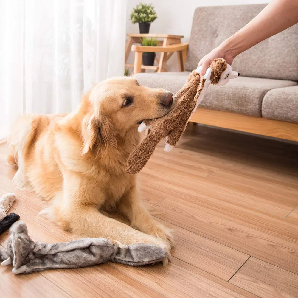 Skinny No Stuffing Squeaky Plush Dog Chew Toys Cute Simulated Animal Shape Dog Chewing Toy Durable Pet Puppy Toy with Squeakers