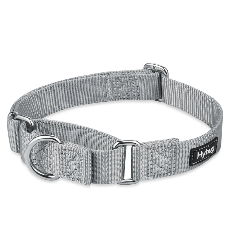 Nylon Dog Training Collar Adjustable Martingale Collars Dog Pulling Walking Collar For Medium Large And Small Dogs HY116 Perro
