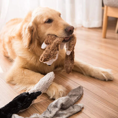 Skinny No Stuffing Squeaky Plush Dog Chew Toys Cute Simulated Animal Shape Dog Chewing Toy Durable Pet Puppy Toy with Squeakers