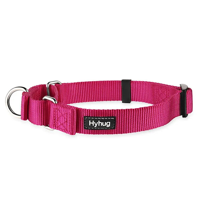 Nylon Dog Training Collar Adjustable Martingale Collars Dog Pulling Walking Collar For Medium Large And Small Dogs HY116 Perro
