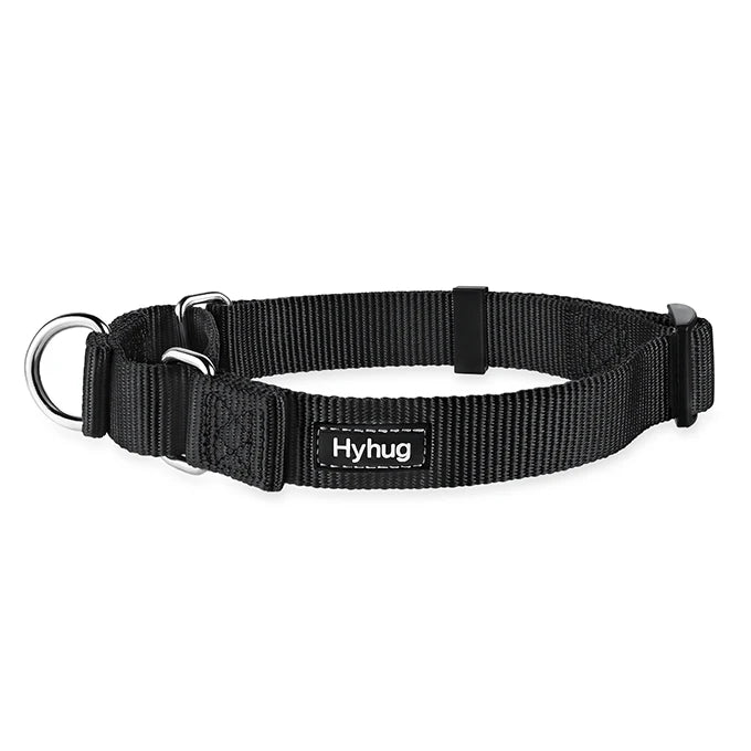 Nylon Dog Training Collar Adjustable Martingale Collars Dog Pulling Walking Collar For Medium Large And Small Dogs HY116 Perro