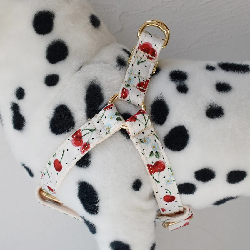 Dog Harness Custom Engraved Straps Printed Pet ID Harness Adjustable Necklace for Small Medium Puppy Teddy Bulldog