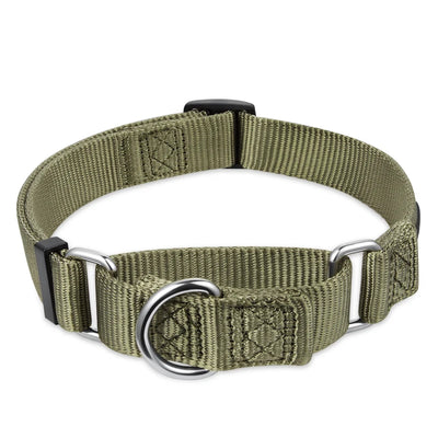 Nylon Dog Training Collar Adjustable Martingale Collars Dog Pulling Walking Collar For Medium Large And Small Dogs HY116 Perro