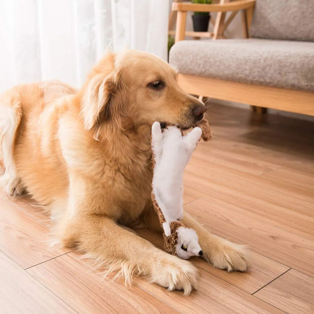 Skinny No Stuffing Squeaky Plush Dog Chew Toys Cute Simulated Animal Shape Dog Chewing Toy Durable Pet Puppy Toy with Squeakers