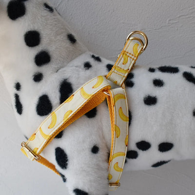 Dog Harness Custom Engraved Straps Printed Pet ID Harness Adjustable Necklace for Small Medium Puppy Teddy Bulldog