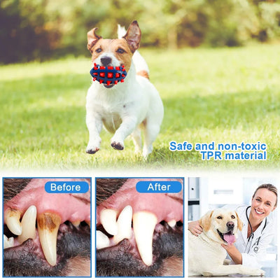 1/2Pcs Squeaky Dog Chew Toys Interactive Puppy Chew Ball Comfortable Rubber Dog Ball Toys Pet Chew Toy for Teething Cleaning