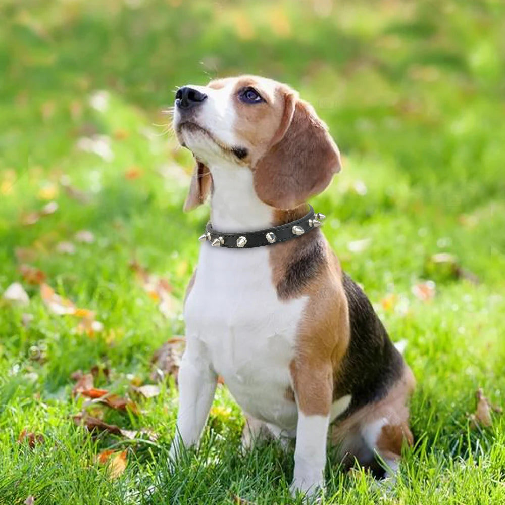 Spiked Dog Collar for Small Breed Dogs One Row Studded Leather Pet Collar Anti-Bite Neck Strap for Puppies Adjustable Cat Collar