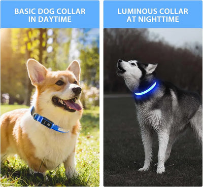 USB LED Dog Collar Lights - Adjustable Comfortable Soft Mesh Safety Collar Dogs, Colorful Lights for Nighttime Visibility