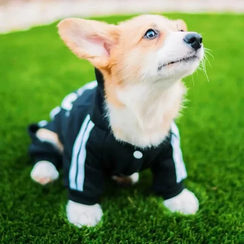 Pet Clothes Puppy Dog Pet Jumpsuit French Bulldog Chihuahua Pug Pets Dogs Clothing for Small Medium Dogs Puppy Outfit PawPrint Treasures