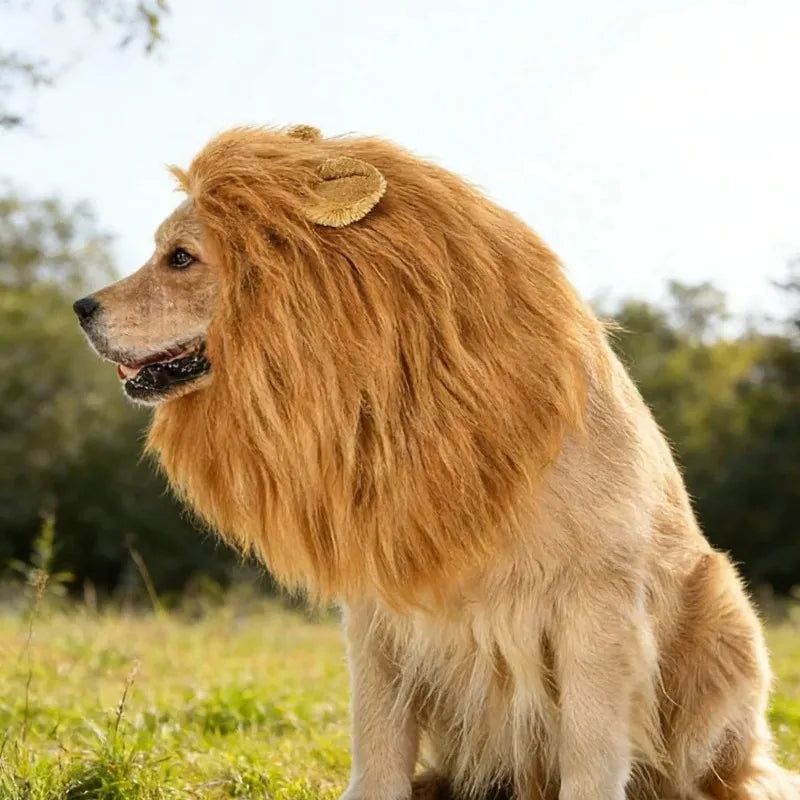 Dog Lion Mane Costume with Ears Funny Plush Headpiece for Pet Halloween Party and Daily Dress Up