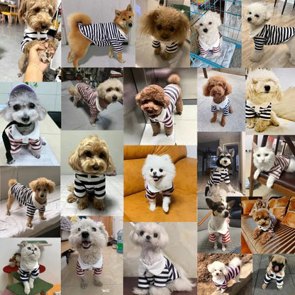Fashion Pet Dog Striped Shirt Summer Puppy Clothes Cute Cat Vest Breathable Dog Thin Shirt Pet Kitten Clothing Chihuahua Clothes PawPrint Treasures