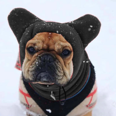 Warm Dog Hat Pet Hood with Ear Muff Warm hat soft walking ears headband Dog Warm Hat for Cold Weather Camping Outdoors