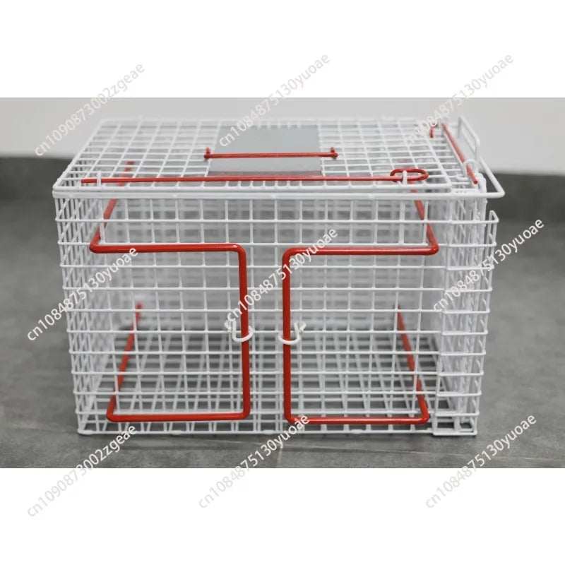 Pet Injection Restraint Cage for Cats & Dogs Veterinary - grade Control Cage for Medical Treatment Cat Injection Cage PawPrint Treasures
