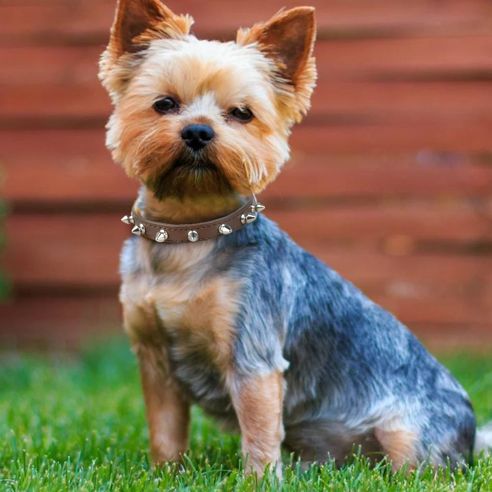 Spiked Dog Collar for Small Breed Dogs One Row Studded Leather Pet Collar Anti-Bite Neck Strap for Puppies Adjustable Cat Collar