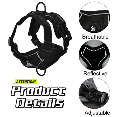 Pet Dog Harness Leash Set Adjustable Puppy Solid Chest Strap with D-ring For Small Medium Dogs Cats French Bulldog Accessories