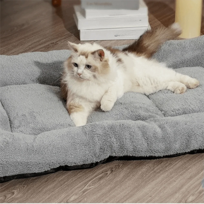 Warm Dog Bed Mat Surrounding Style Super Soft Pet Plush Pad Comfortable Non-slip Cat Cage Mattress for Cats and Dogs