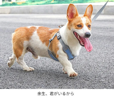 Dog Harness Adjustable Pet Harness Vest For Small Large Dog Cat Reflective Mesh Puppy Cat Chest Strap Dog Accessories