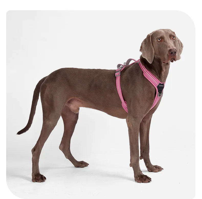 Dog Leash Anti-Pull Pet Harness Comfortable Outdoor Dog Leash Reflective Dog Harness Durable and Stain-Resistant