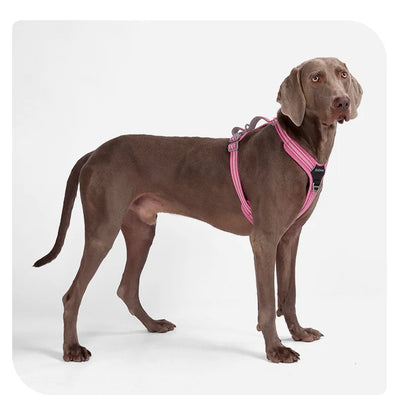 Dog Leash Anti-Pull Pet Harness Comfortable Outdoor Dog Leash Reflective Dog Harness Durable and Stain-Resistant