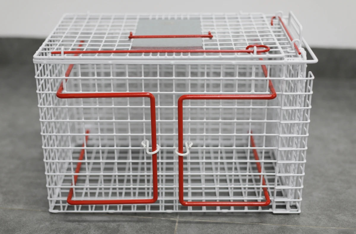 Pet Injection Restraint Cage for Cats & Dogs Veterinary - grade Control Cage for Medical Treatment Cat Injection Cage PawPrint Treasures