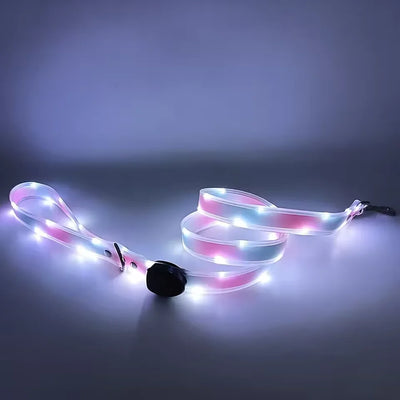 Pet Light-up Collar Leash LED Flashing Collar USB Charging Dog Walking Pulling Belt Adjustable Dog Collar Anti-Lost Pet Supplies