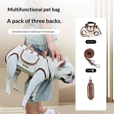 Everyday Travel Carrier for Pet Convertible Shoulder/Hand Bag with Harness Clip Comfortable and Portable for Vet Visits Shopping