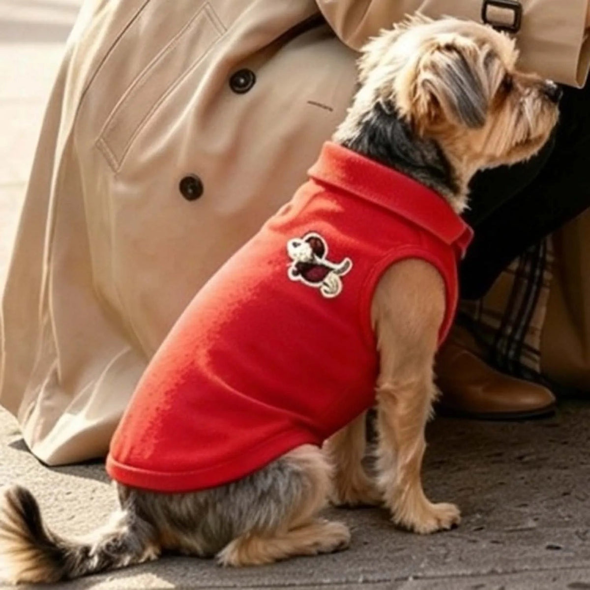 Fashion Embroidered Dog Polo Shirt Breathable Sleeveless Pet Clothing For Small Breeds Outdoor Walking Pet Outfit PawPrint Treasures