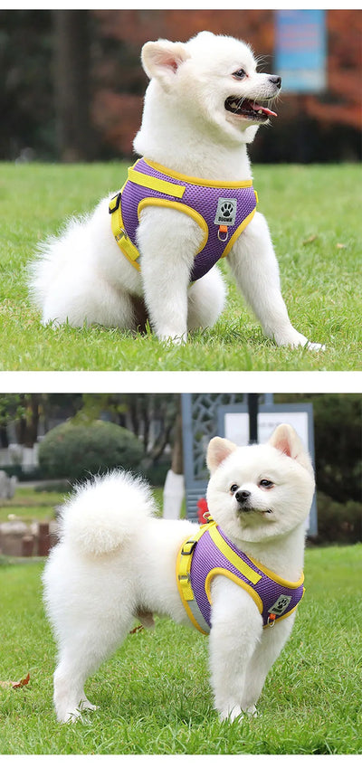 Puppy Dog Harness Leash Rope Set Breathable Summer Mesh Cat Dogs Harness Vest Reflective Pet Cat Chest Straps Chihuahua Yorkies