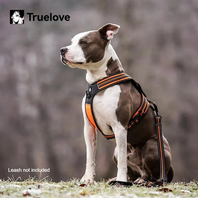 Truelove Non-reflective Walking PU Leather Dog Vest Escape Proof Adjustable Anti Pull Pet Harness Outdoor Clearance Sale TLH5551