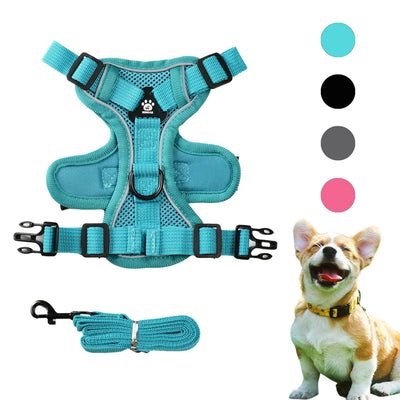 Pet Dog Harness Leash Set Adjustable Puppy Solid Chest Strap with D-ring For Small Medium Dogs Cats French Bulldog Accessories
