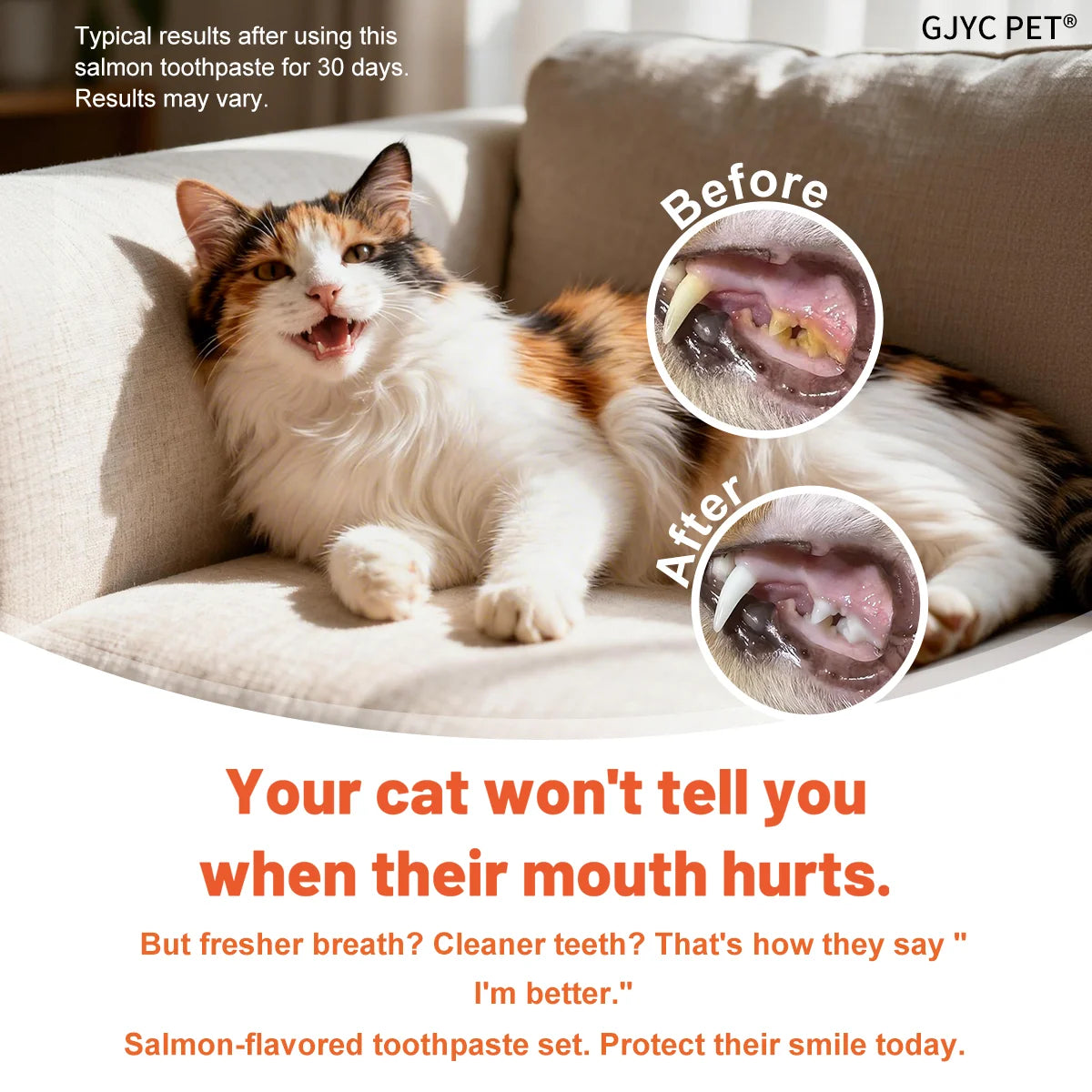 Cat Toothpaste Enzymatic Dental Gel Salmon Flavor Plaque Tartar Remover Oral Care Fresh Breath Edible Safe for Daily Brushing
