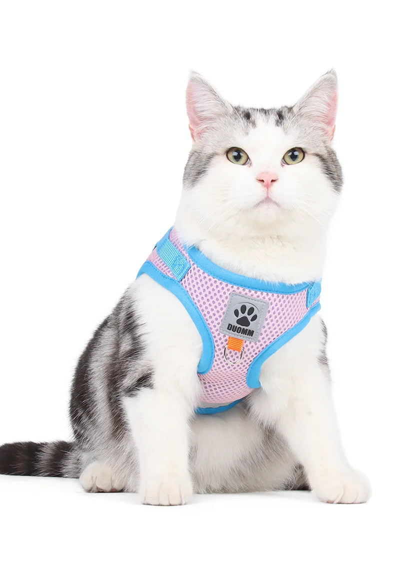 Puppy Dog Harness Leash Rope Set Breathable Summer Mesh Cat Dogs Harness Vest Reflective Pet Cat Chest Straps Chihuahua Yorkies
