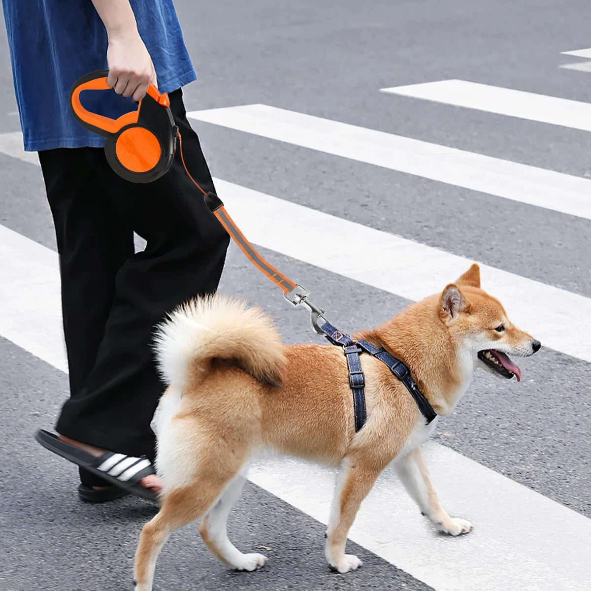 8m 50kg Dog Leash Retractable Roulette Collar for Small Big Dog Accessories Adjustable Durable Walking Hiking Bulldog Rope