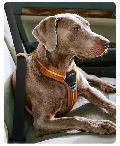 Dog Leash Anti-Pull Pet Harness Comfortable Outdoor Dog Leash Reflective Dog Harness Durable and Stain-Resistant