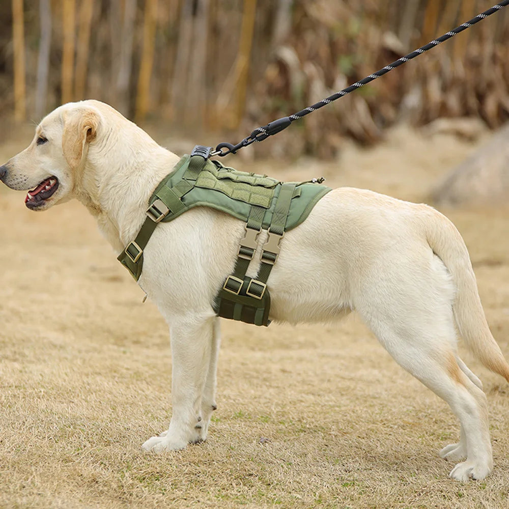 Custom Dog Harness Personalized Tactical Vest DIY Name Pet Harness for Medium Large Big Dog Chest Strap