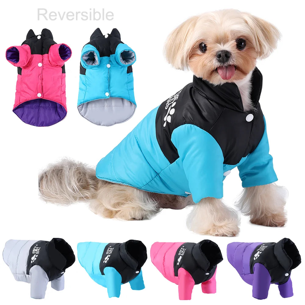 Warm Dog Clothes in Winter for Small Medium Cat Dogs Reversible Waterproof Pets Outfits Solid Puppy Sphynx Chihuahua Pug Apparel