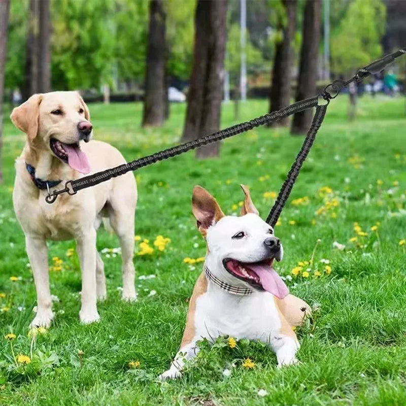 New Double Head Pet Towing Rope One Drag Two Night Reflection Anti Winding Elastic Nylon Walking Dog Rope Supplies Accessories
