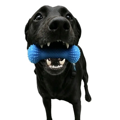 Dual-Action Canine Dental Prop Reusable Dental Chews For Dogs Interactive Dog Dental Chew Toy For Teeth Cleaning Brushing